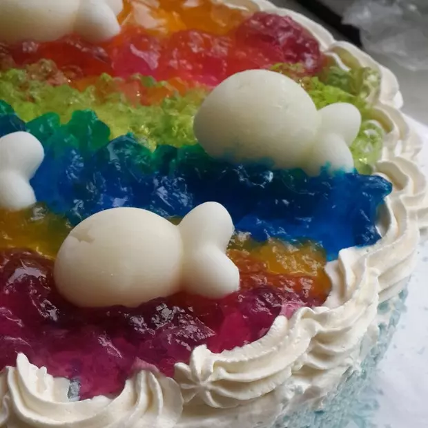 做給張晨輝的彩虹果凍蛋糕
