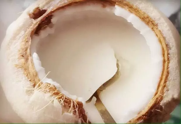 雙層椰子凍