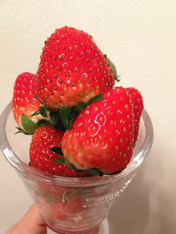今冬第一顆草莓