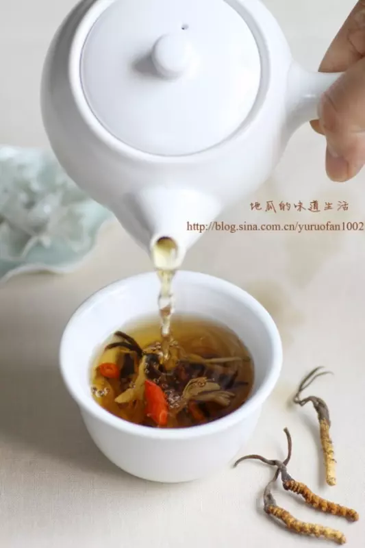 養生茶飲簡單做——蟲草甘露茶