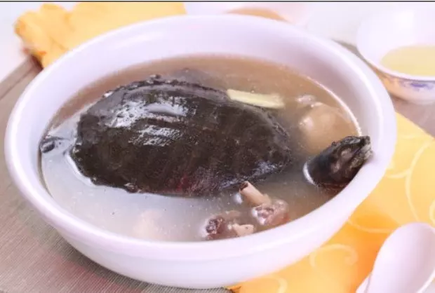 林志鵬自動烹飪鍋烹制滋補甲魚湯-捷賽私房菜