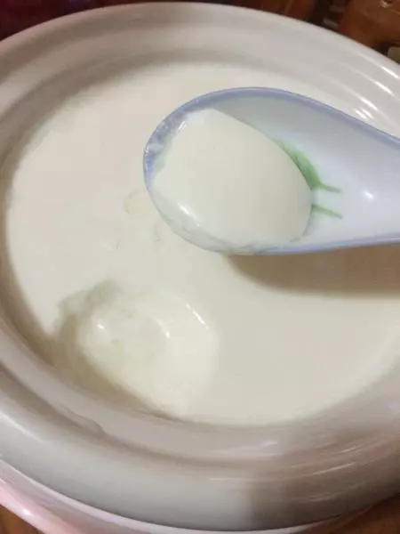 自製酸奶簡單100%成功