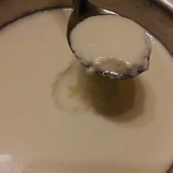 電飯煲酸奶
