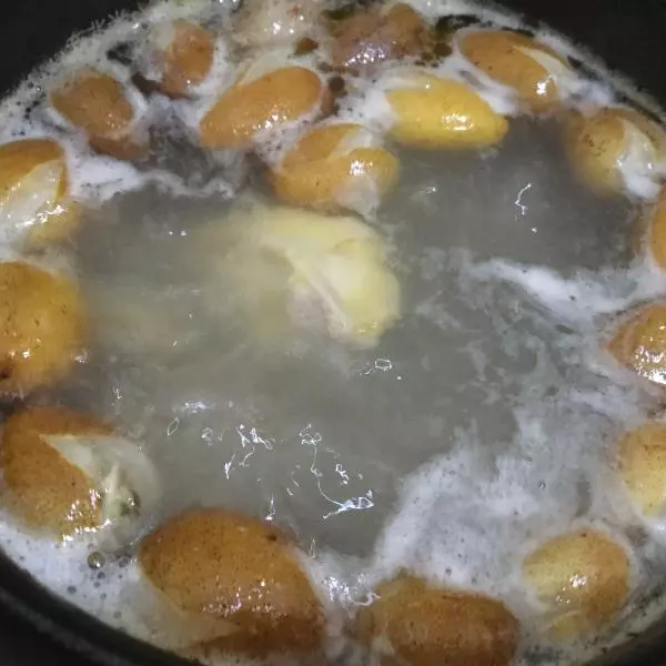 黃皮果燉雞湯