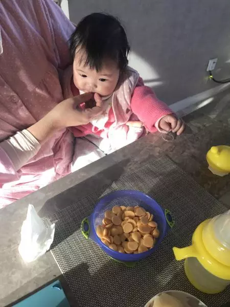 蛋黃溶豆零添加寶寶輔食