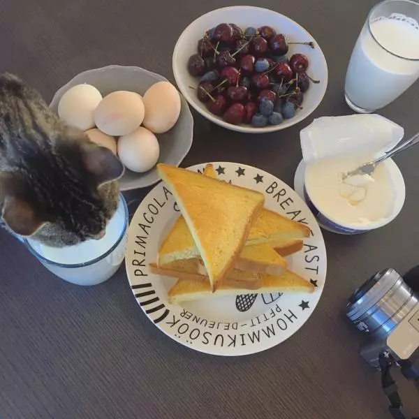 每天吃早飯