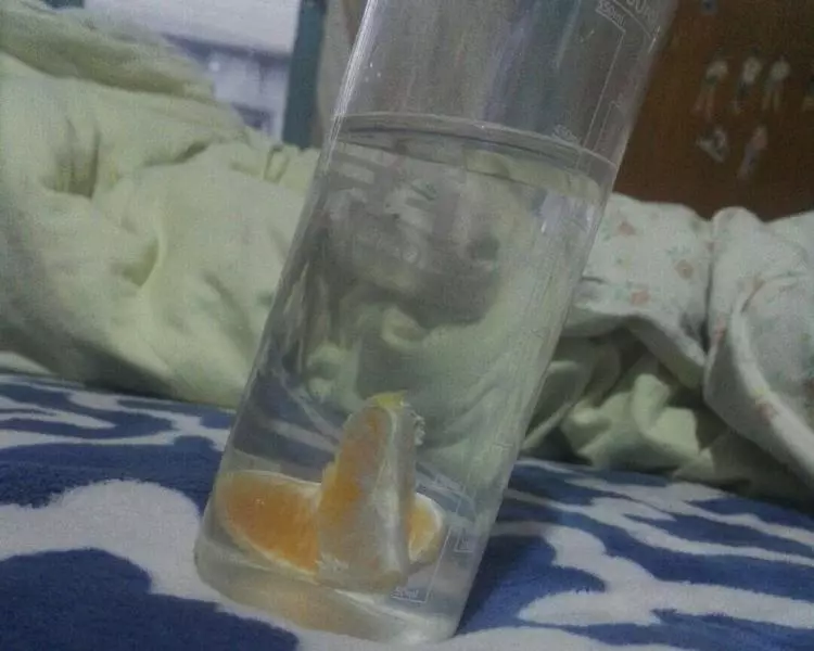 自製橘子蘇打水