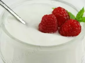 自製原味酸奶