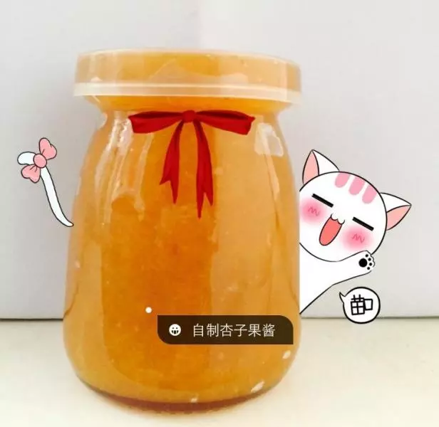 自製杏子果醬
