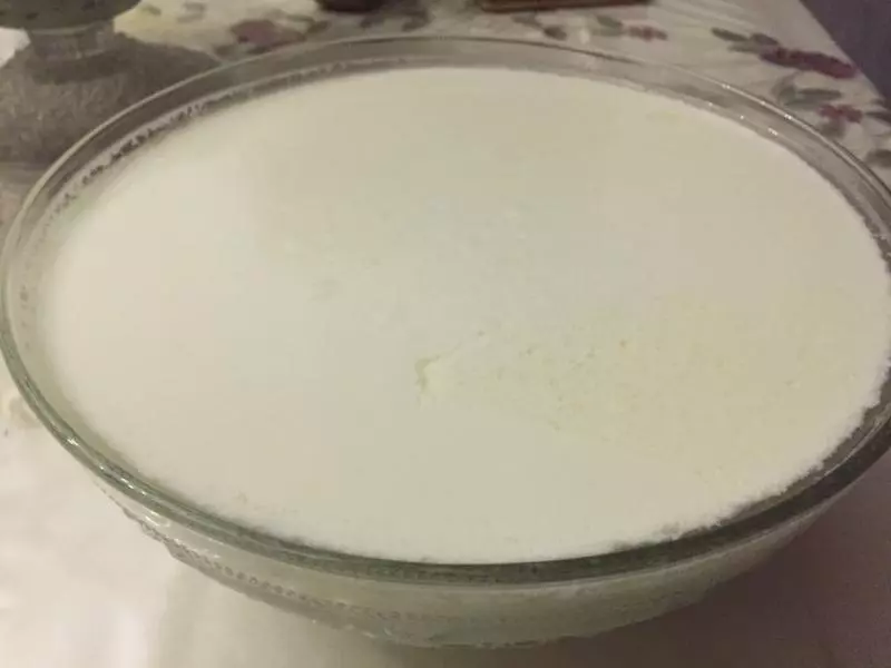 新疆老酸奶