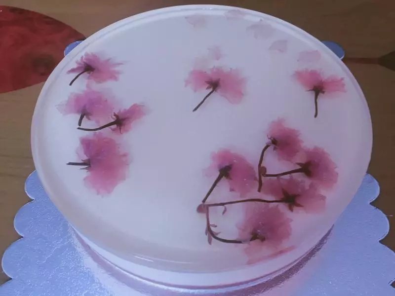 櫻花芝士蛋糕