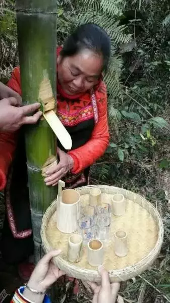 天然酵素--竹汁酒