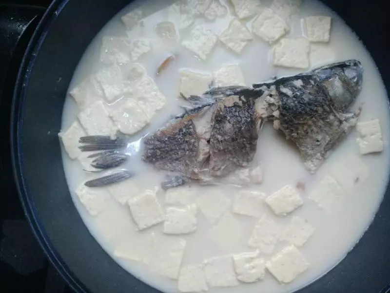 奶白色的鯽魚豆腐湯