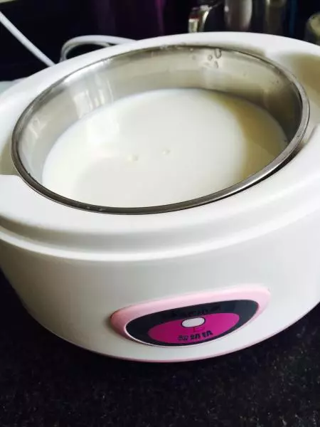 酸奶機做酸奶