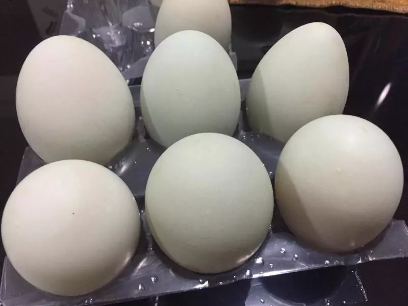 簡易版鹹鴨蛋