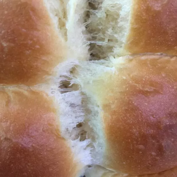 【技能貼】Joy的烘焙新手麵包技巧——揉面、發酵和很多很多小竅門