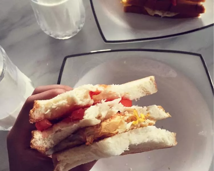 雞蛋火腿番茄三明治早餐（快手簡單減脂）