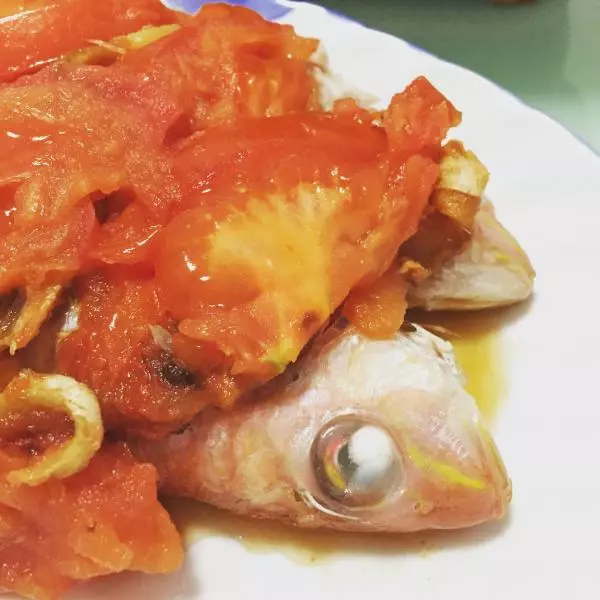 蕃茄香煎紅衫魚