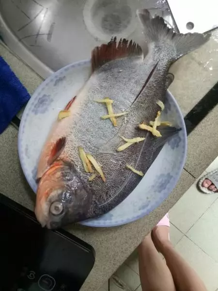 清蒸扁魚