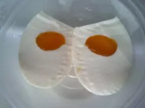 香芒椰汁蛋