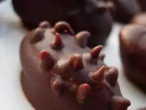 毛毛蟲堅果巧克力豆