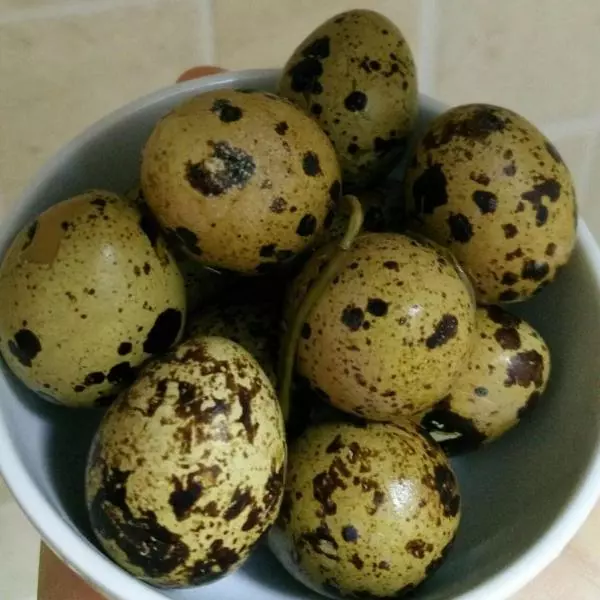清香鵪鶉蛋