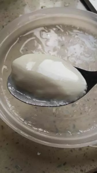 蓬鬆濃厚口感自製酸奶
