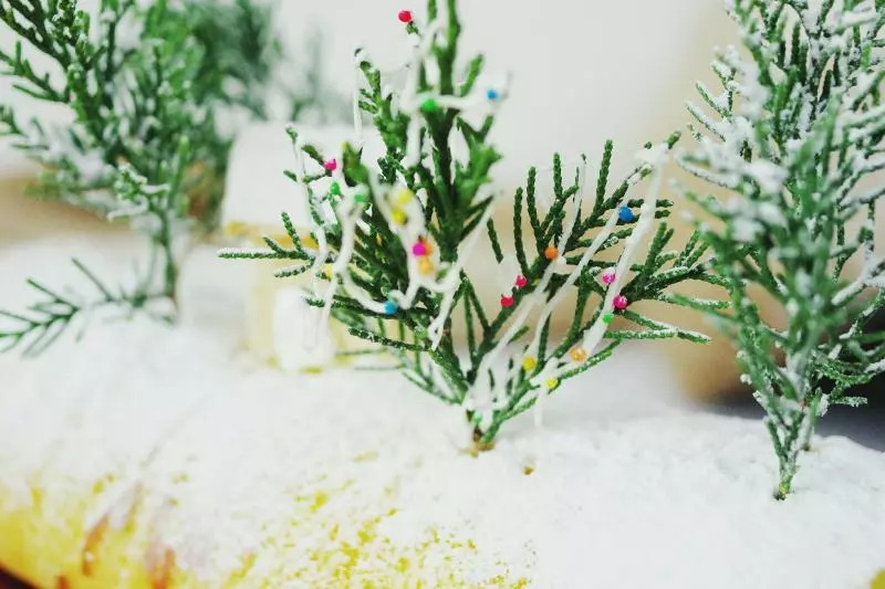 聖誕森林雪景蛋糕卷