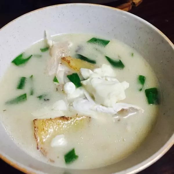 乳白色的魚頭豆腐湯