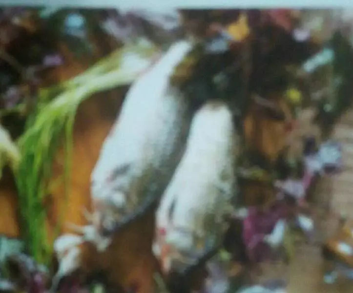 紫蘇燒鯽魚