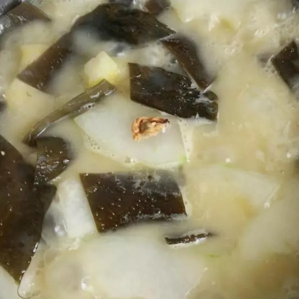 冬瓜海帶淡菜湯