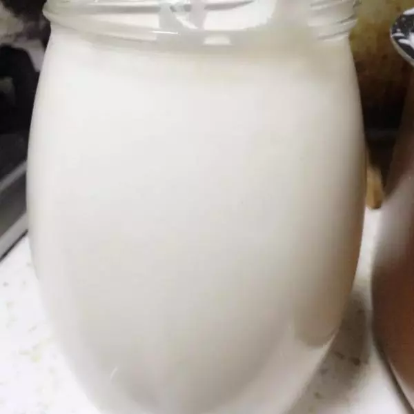 自製無糖純酸奶