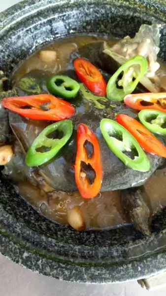 濃湯煨甲魚