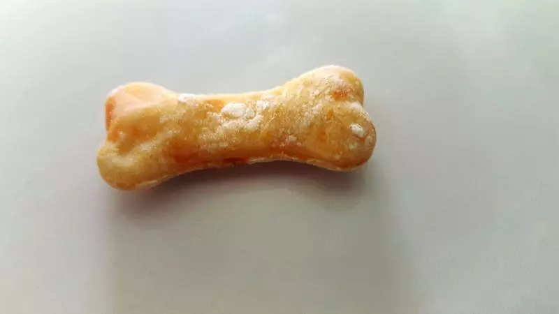 寵物食品-胡蘿蔔餅乾