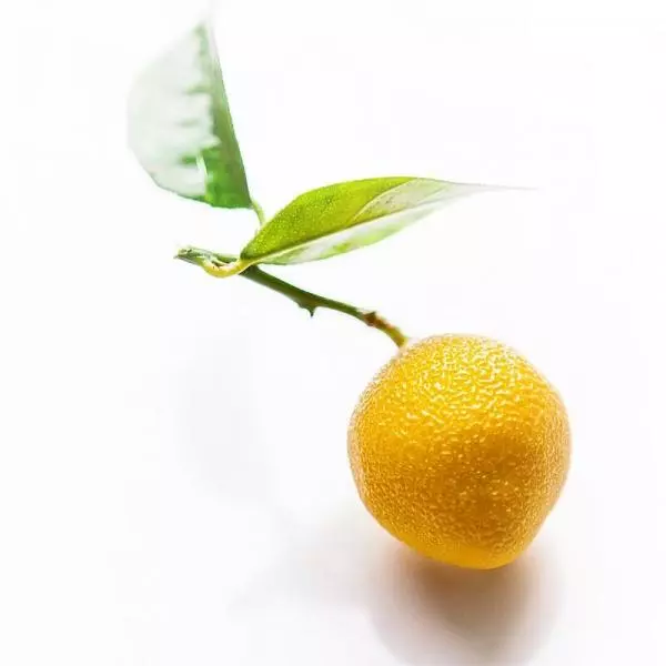 cedric的一顆檸檬
