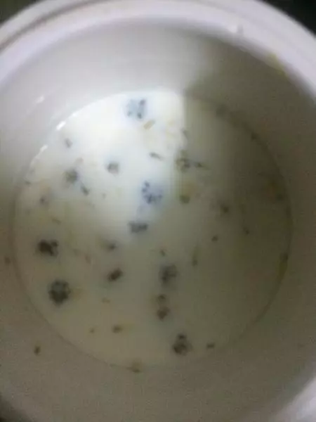 菊花白果燉牛奶