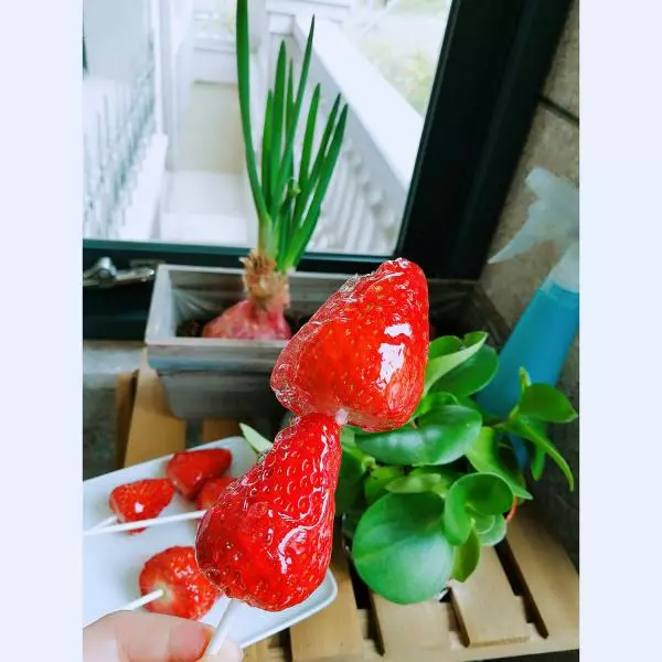 草莓季-糖葫蘆