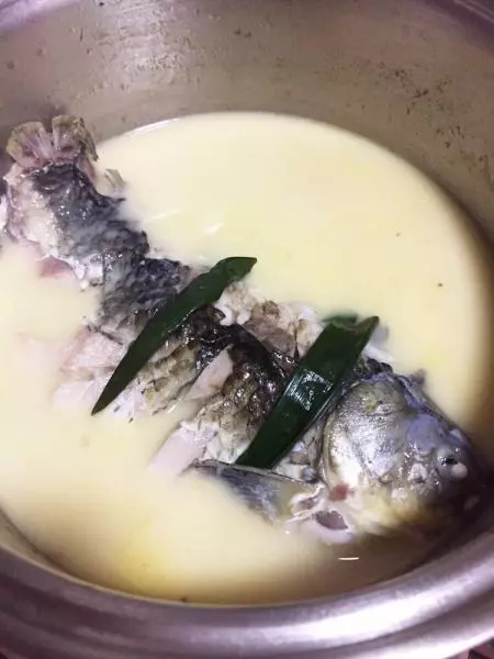 奶白魚湯