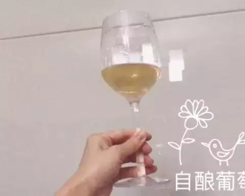 自釀葡萄酒（含白葡萄酒做法）