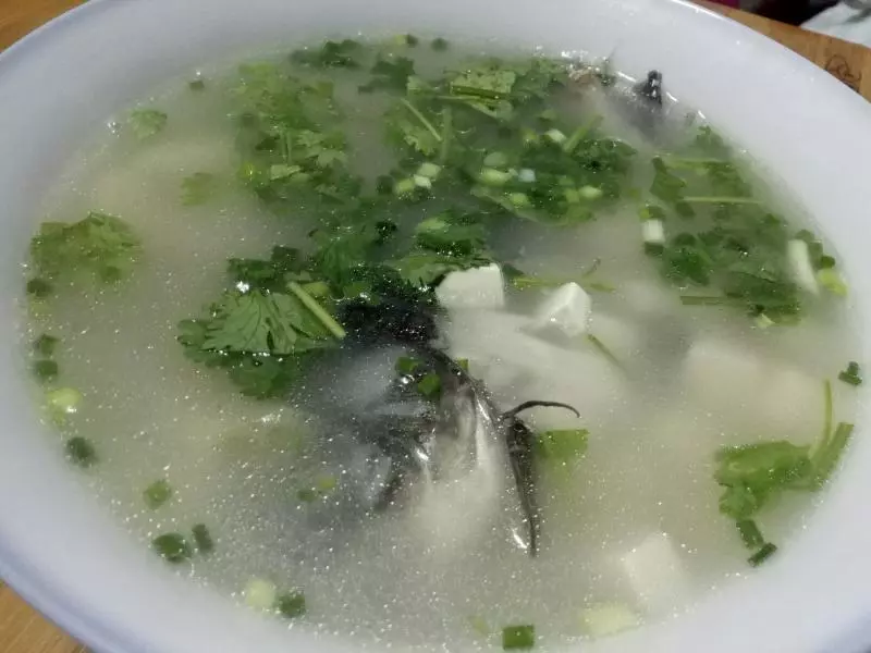 鯽魚豆腐湯