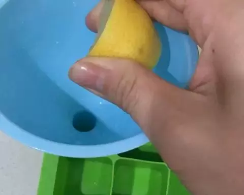 檸檬（長時間保存+清潔）