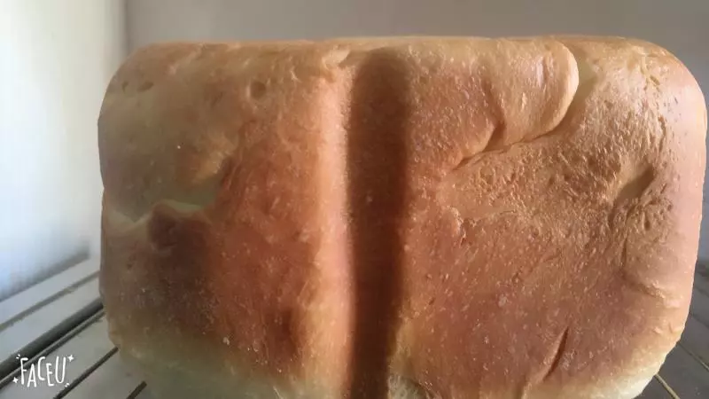 東菱麵包機麵包