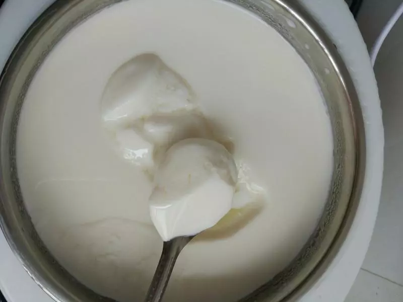 自制原味酸奶
