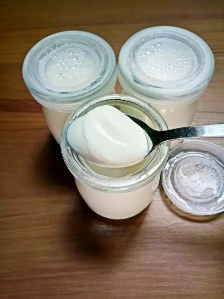 自製電飯煲版酸奶（原味）