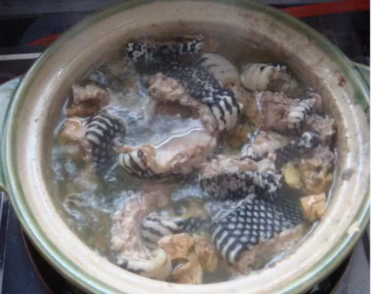 山蛇石龟汤