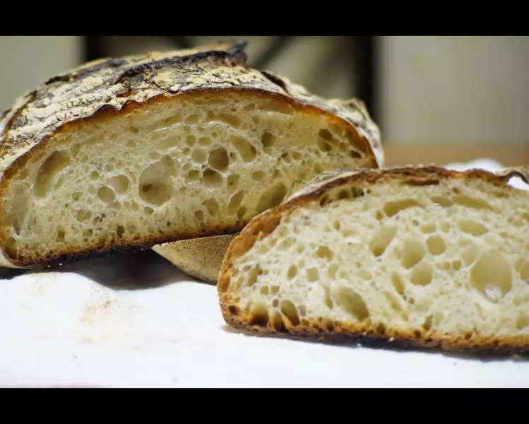 【Ken Forkish】波兰酵头白面包