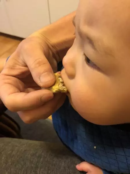 竹莢魚餅（嬰兒、貓咪都可以吃）