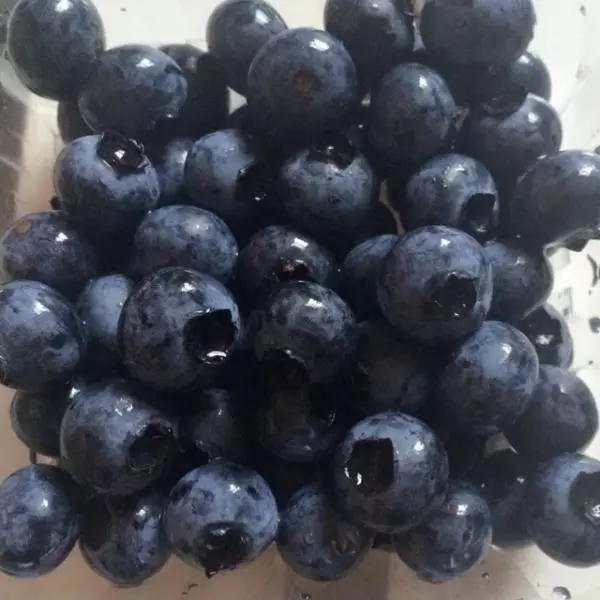 自家种的蓝莓