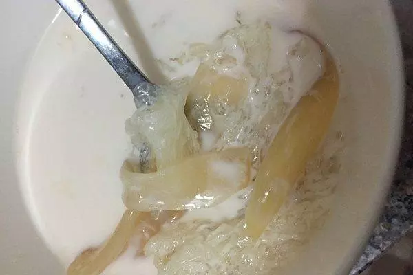 花胶鲜奶炖燕窝汤